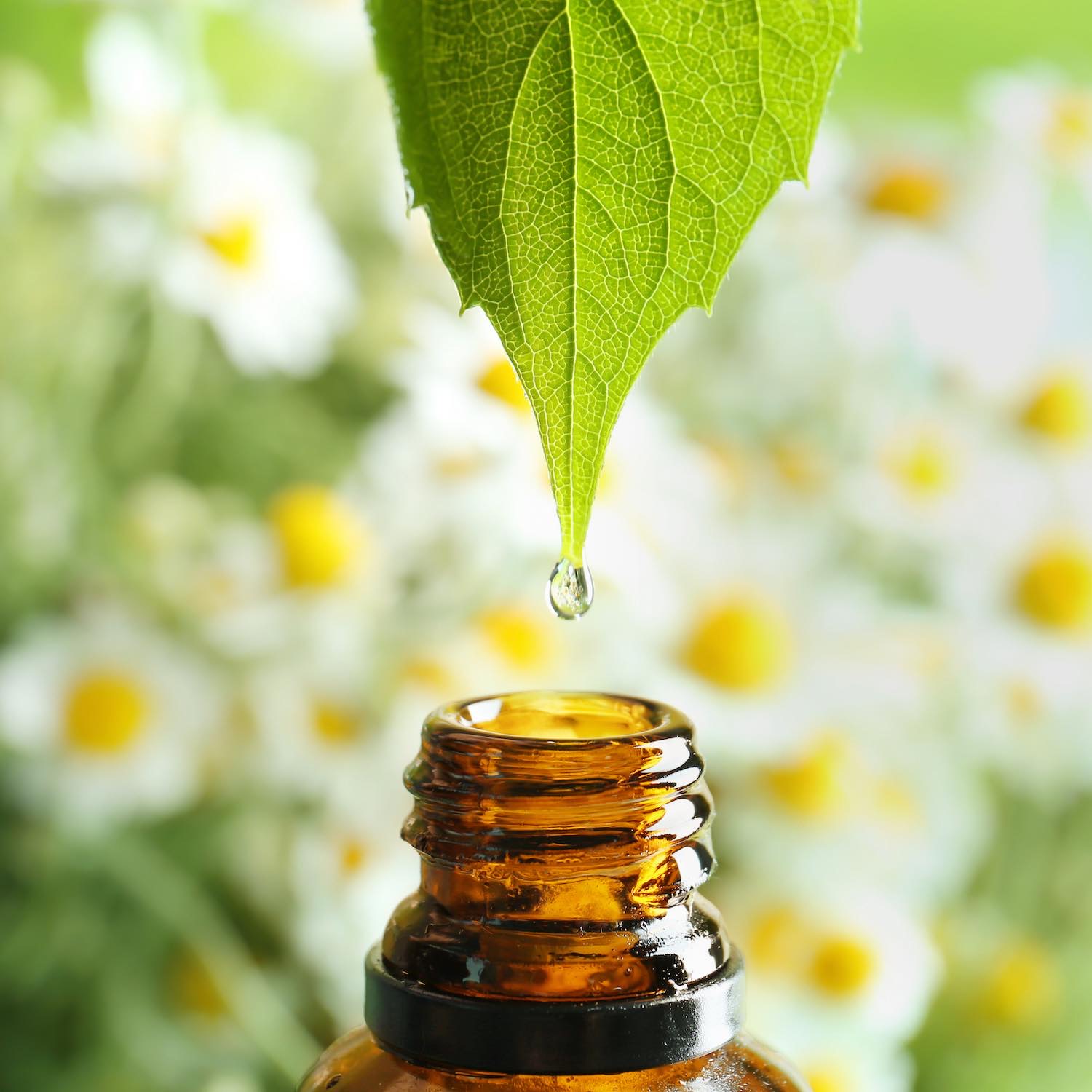 Aromathérapie Aromathérapie, Pharmacie de la Source, Jonzac